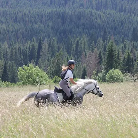 Chalet W Dolinie Koscieliskiej *