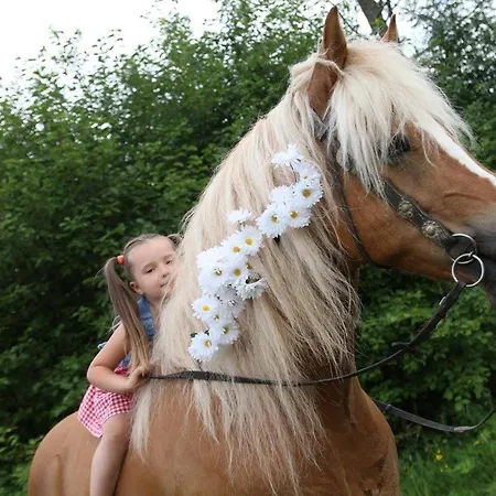 Chalet W Dolinie Koscieliskiej